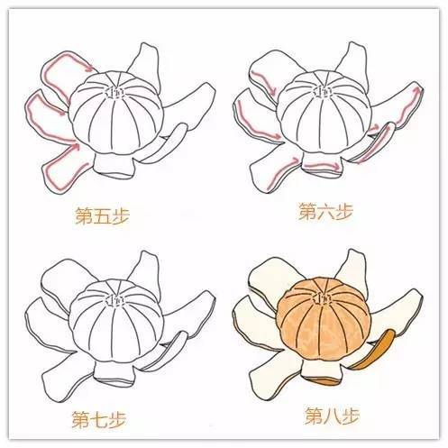 儿童简笔画大全图片水果涂色,秋天成熟的水果有哪些简笔画