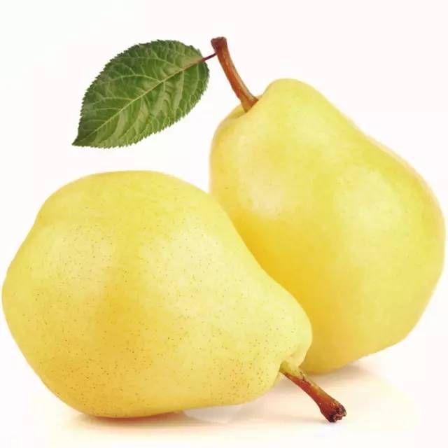 儿童简笔画大全图片水果涂色,秋天成熟的水果有哪些简笔画