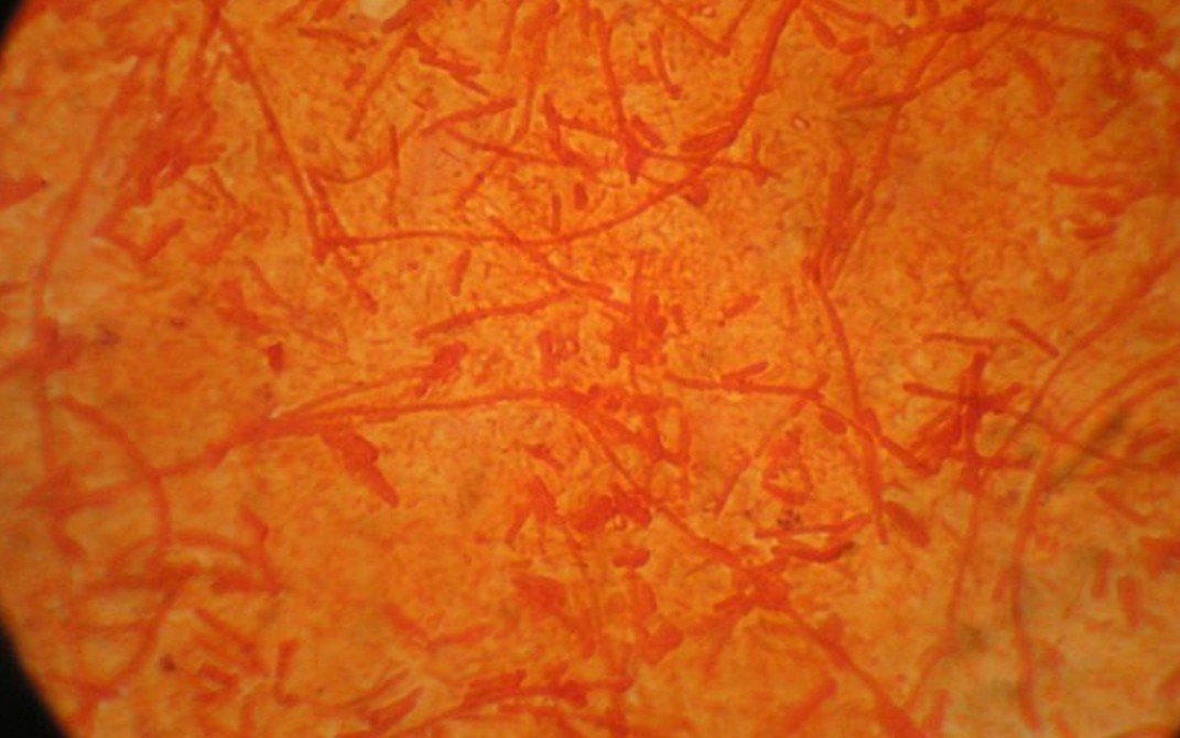 观赏鱼的喂养与疾病防治书籍,观赏鱼交叉感染常用药