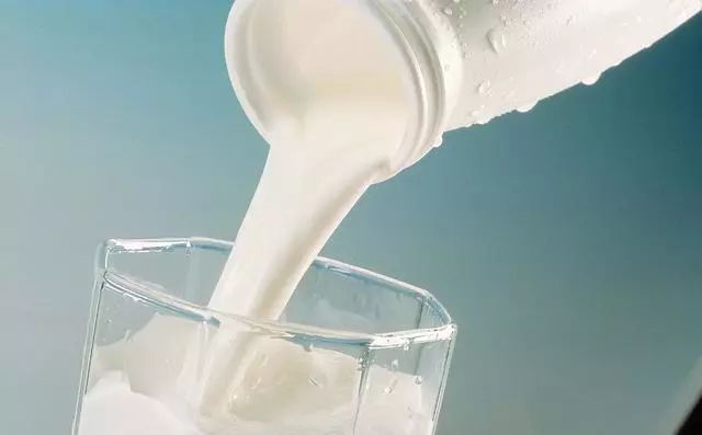 狗狗怀孕期关注事项有哪些,狗狗怀孕时应该关注些什么