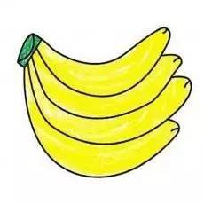 儿童简笔画大全图片水果涂色,秋天成熟的水果有哪些简笔画