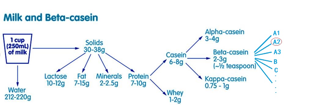 a2奶粉罚款原因,a2奶粉被罚十万
