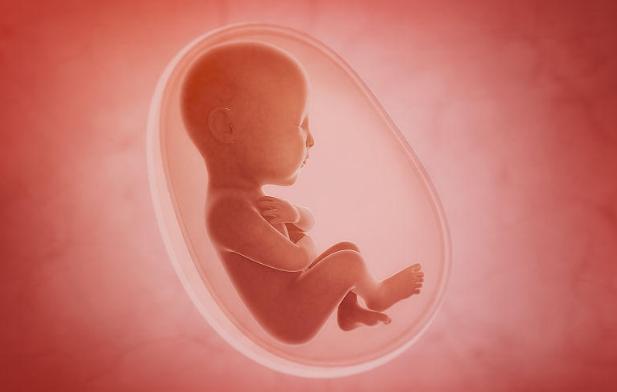 怀孕10周没胎心基本就胎停了,都怀孕十周了为什么反应还不消失