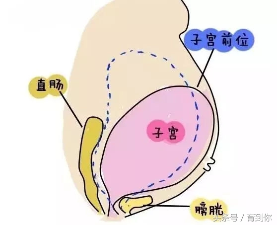 孕妇肚子不显大,孕妇肚子不舒服老公担心