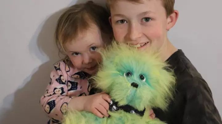 坎贝尔泰迪熊,坎贝尔金丝熊