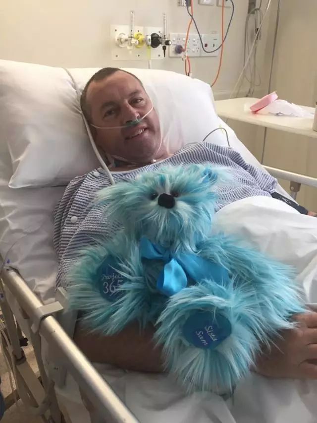 坎贝尔泰迪熊,坎贝尔金丝熊