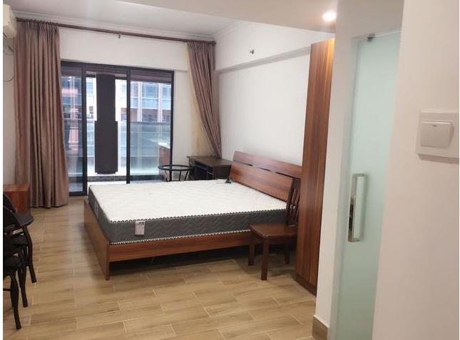 坂雪岗科技城发展规划,坂雪岗科技园