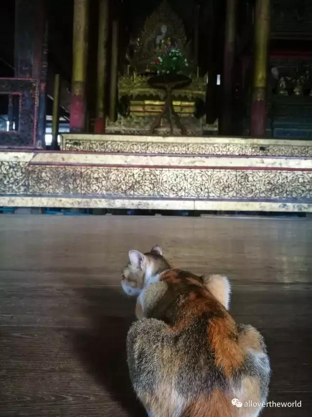 独行于缅甸，一瞥这众神国度