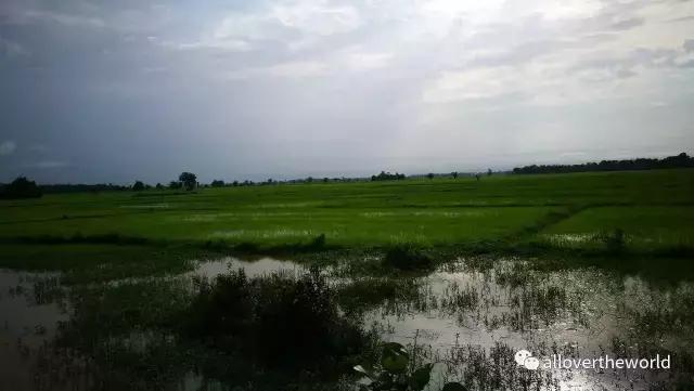 独行于缅甸，一瞥这众神国度