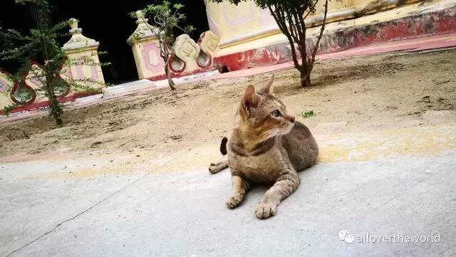 独行于缅甸，一瞥这众神国度