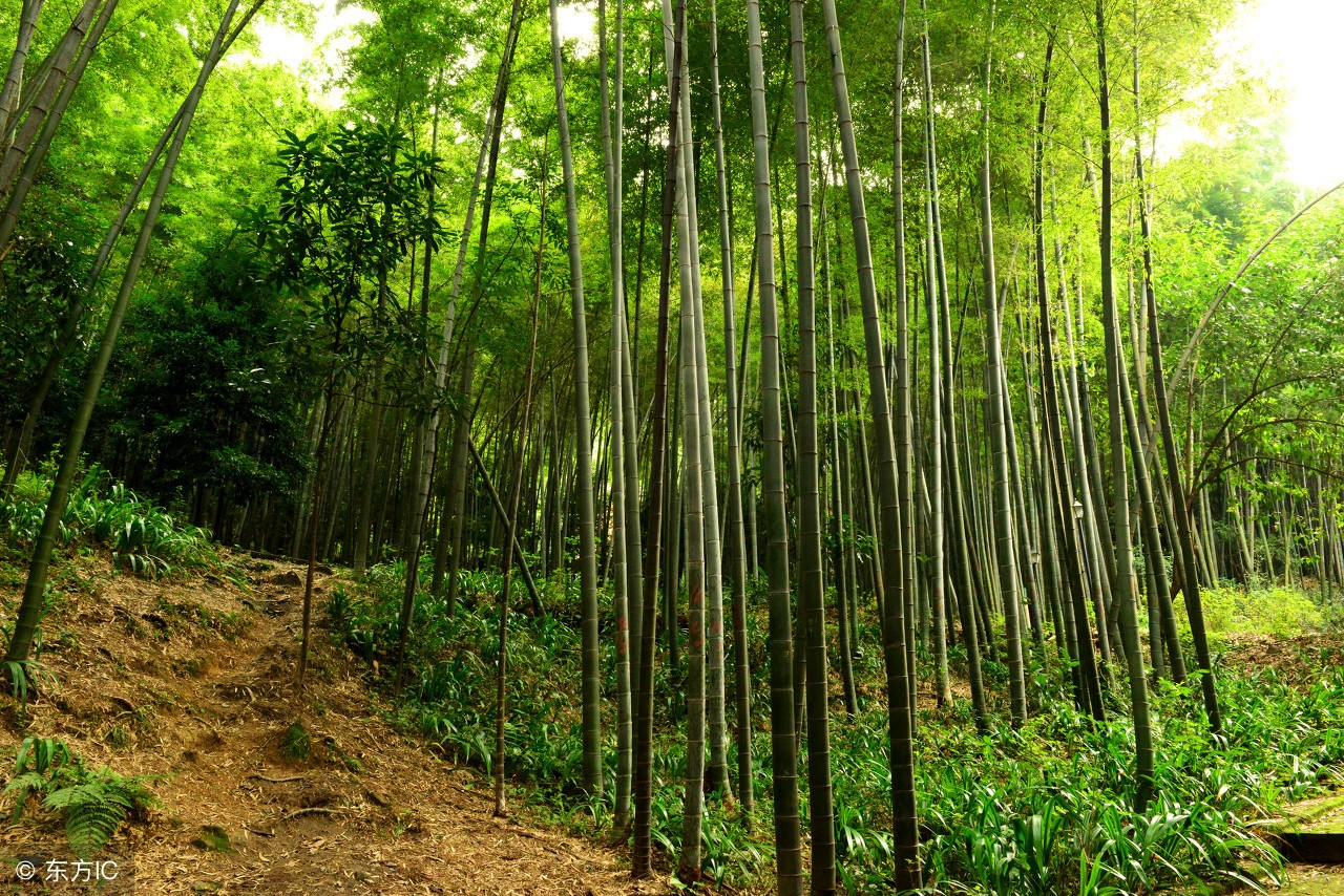 安徽广德：抗日英烈江晓凤