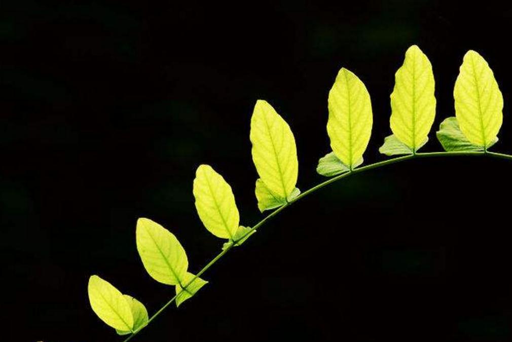 佛性知行合一是王道,佛性修养