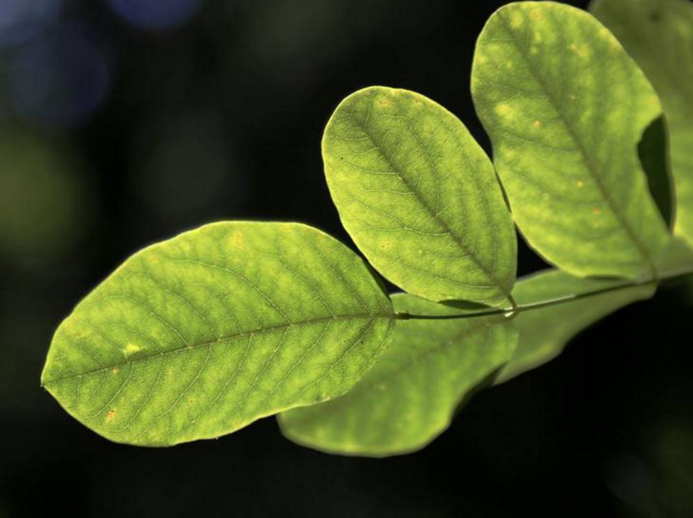 佛性知行合一是王道,佛性修养