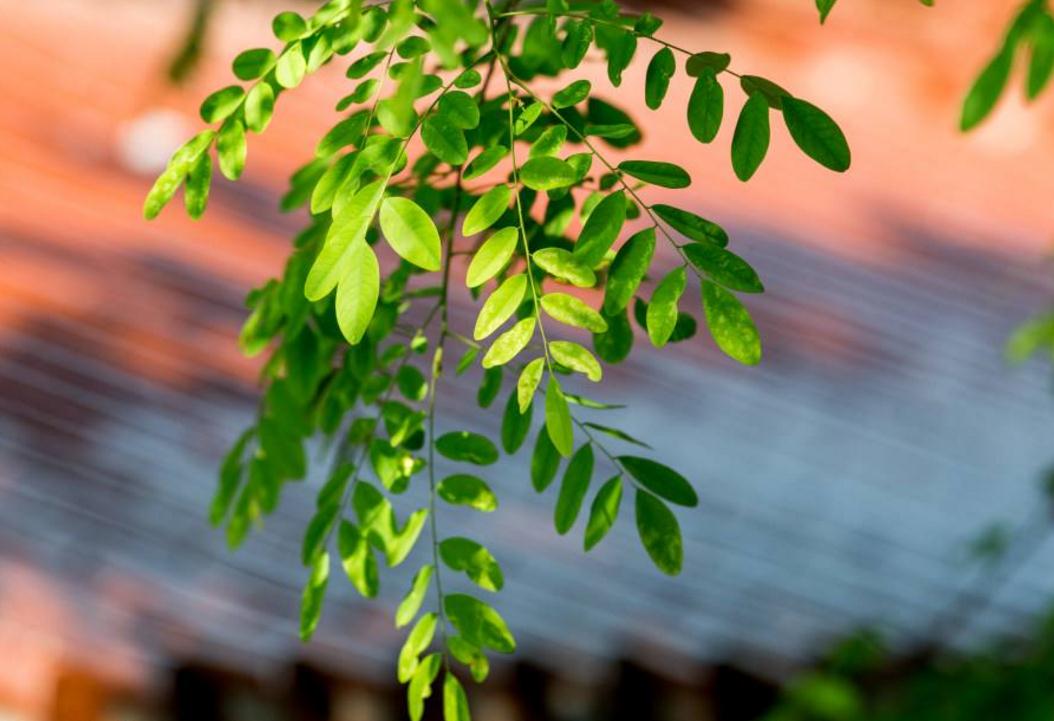 佛性知行合一是王道,佛性修养