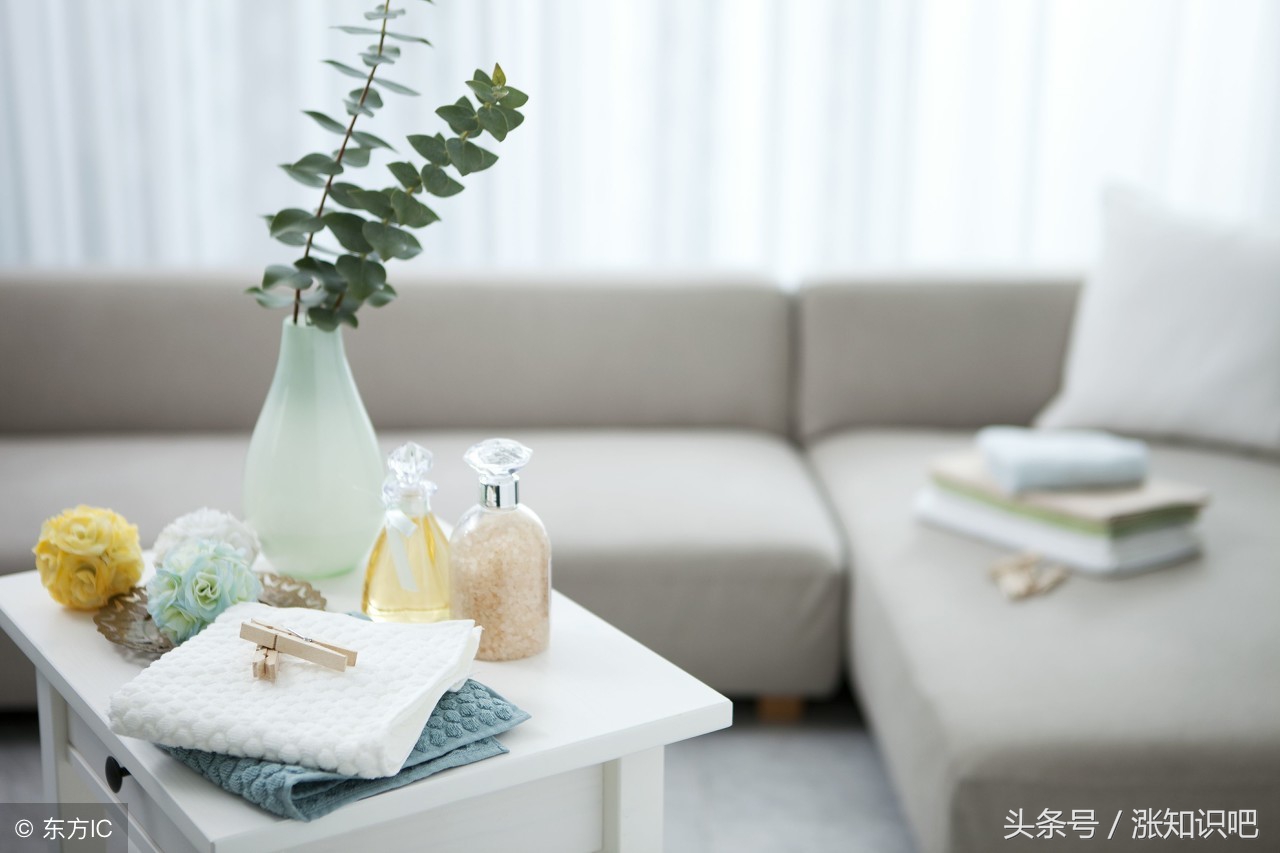 新沙发有气味怎么去除最快,新沙发通风多久除甲醛