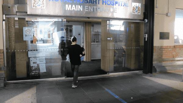 坎贝尔泰迪熊,坎贝尔金丝熊