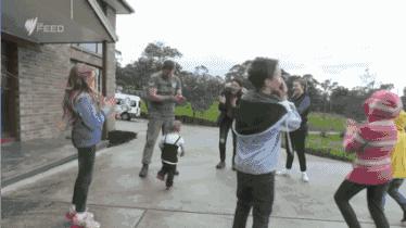 坎贝尔泰迪熊,坎贝尔金丝熊