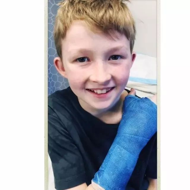 坎贝尔泰迪熊,坎贝尔金丝熊