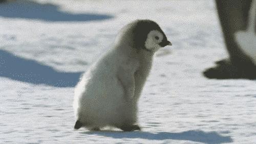 壁挂炉被冻漏水维修,壁挂炉冻坏