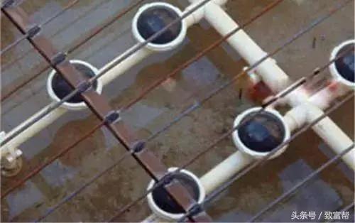 最新大棚水产养殖技术,反季节养殖技术