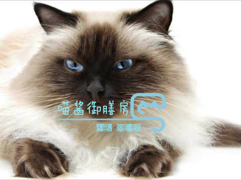 猫皮癣传染人,猫狗癣传染人有什么症状