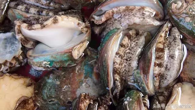 春节留深，去哪里买年货又省又全？