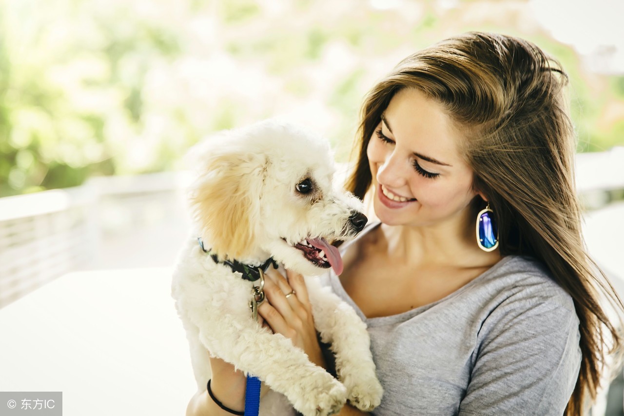 家庭养宠物犬的关注事项,家里养宠物关注知识大全视频