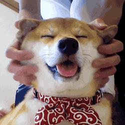 重庆吃喝玩乐的spa,重庆养生spa会所介绍