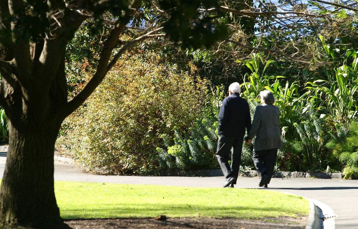 不用花钱的良药,不用花钱治的病