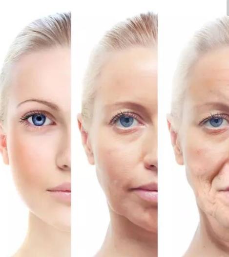 胶原蛋白肽分子量500好还是1000好,胶原蛋白的四种类型