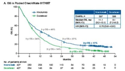 纳武单抗阳性,纳武单抗一年费用2024年