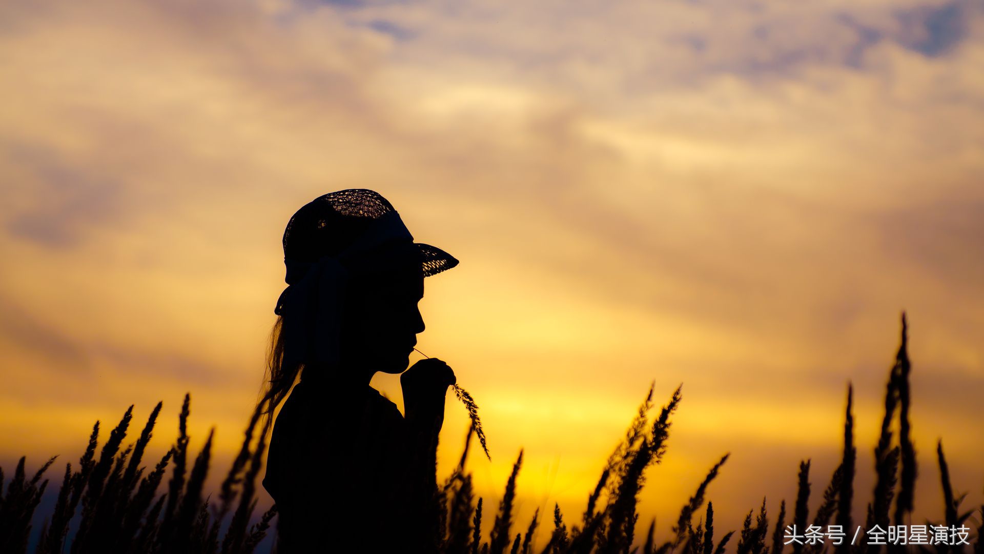 涂磊送你恋人情感经典语录总结，喜欢拿走，不谢不谢