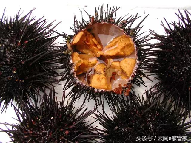 春节留深，去哪里买年货又省又全？