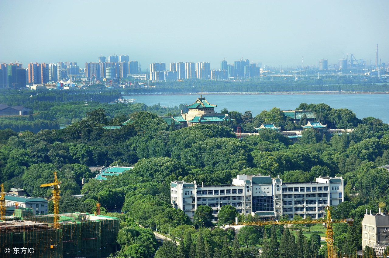 中国当代教育所有失误与问题的核心是大学教育的劣质化