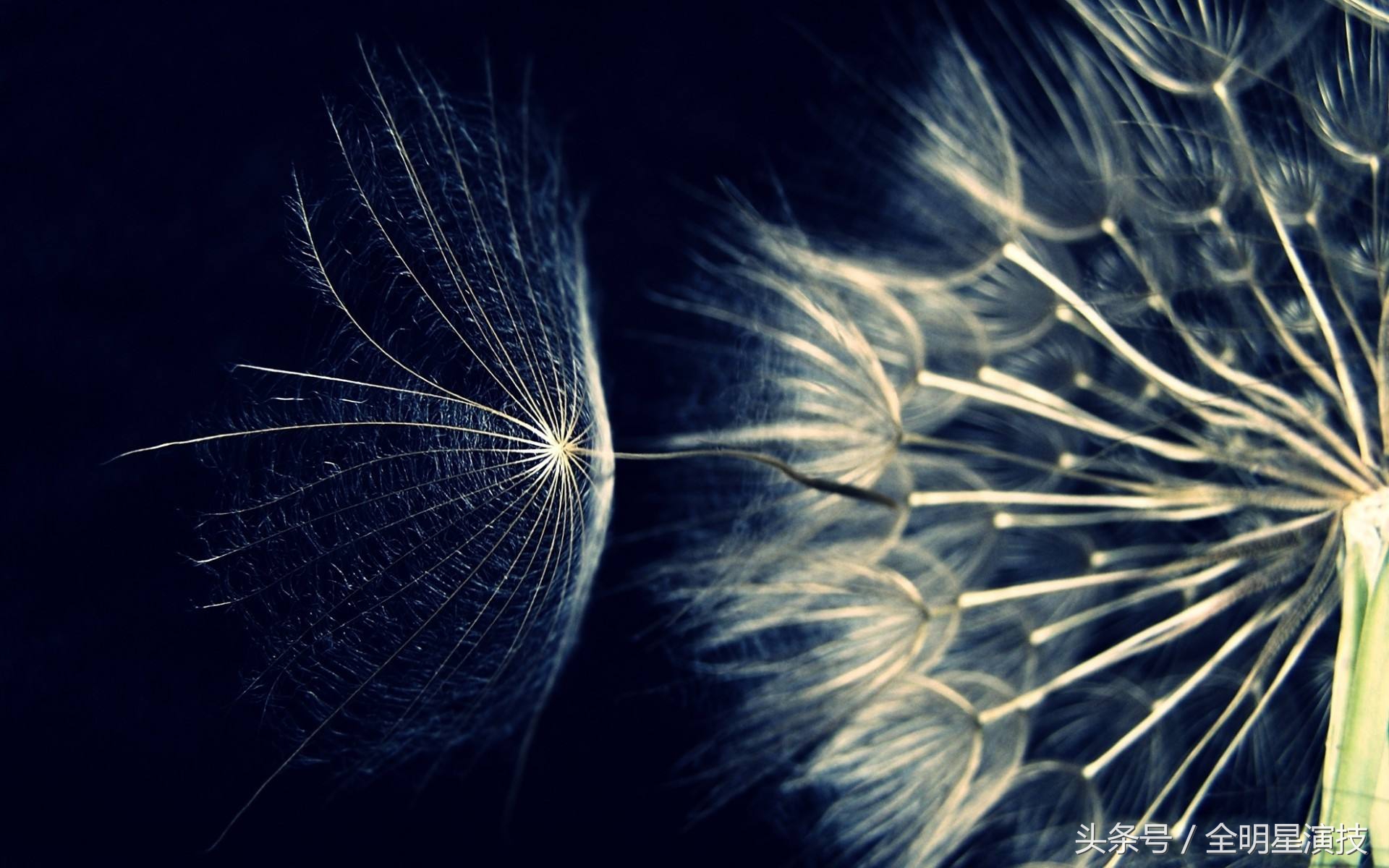 涂磊送你恋人情感经典语录总结，喜欢拿走，不谢不谢