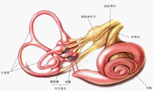 绝地求生3d眩晕怎么解决,绝地求生头晕要关什么