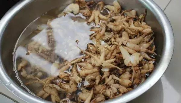 来自西藏墨脱的石锅鸡,西藏墨脱特色石锅