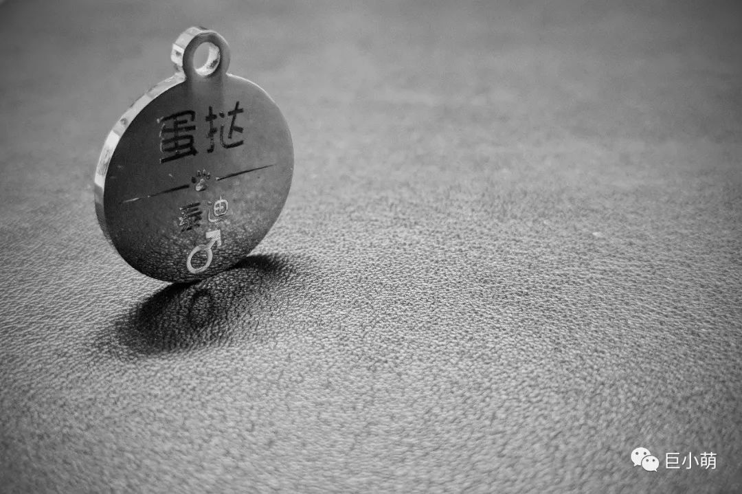 狗年大牌限定辣眼睛，思聪爸爸有钱都不想买