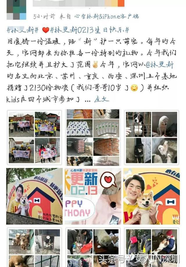 林更新生日满足粉丝欲望,林更新祝福赵丽颖生日