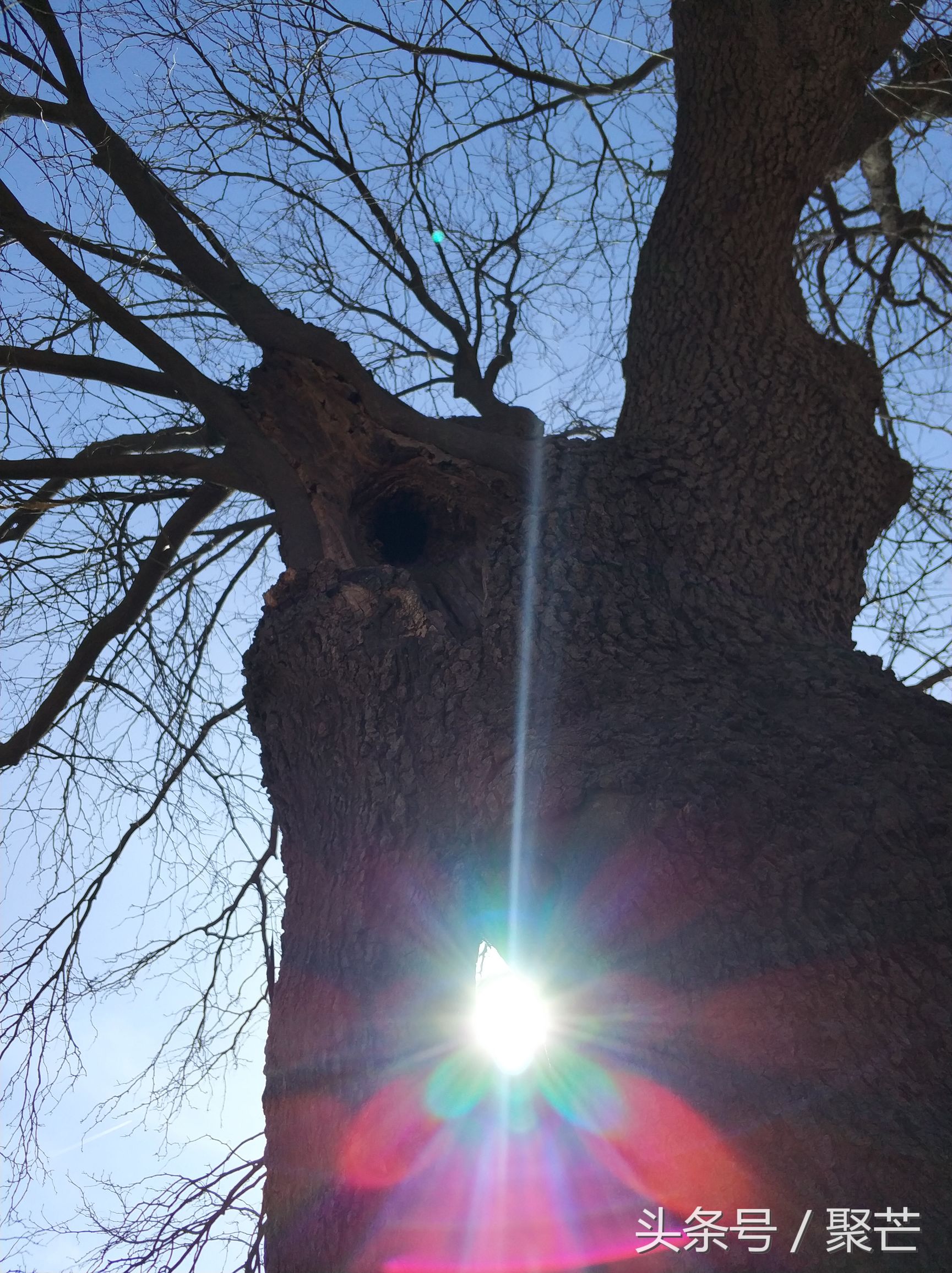 河南石头村自驾游攻略,自驾旅游小住环境好的村落