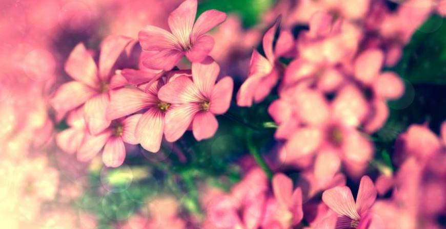 一旦不爱就会立刻消失的星座,一旦离开就会断得彻底的星座