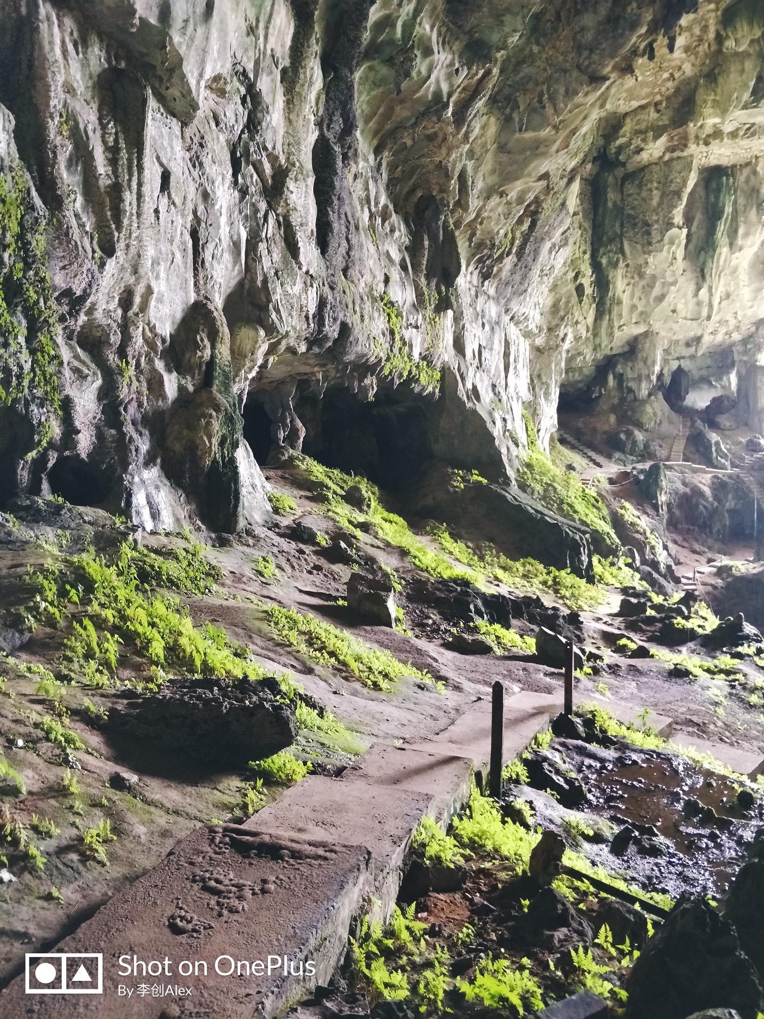 马来西亚古晋游玩,用3天时间爱上一个人