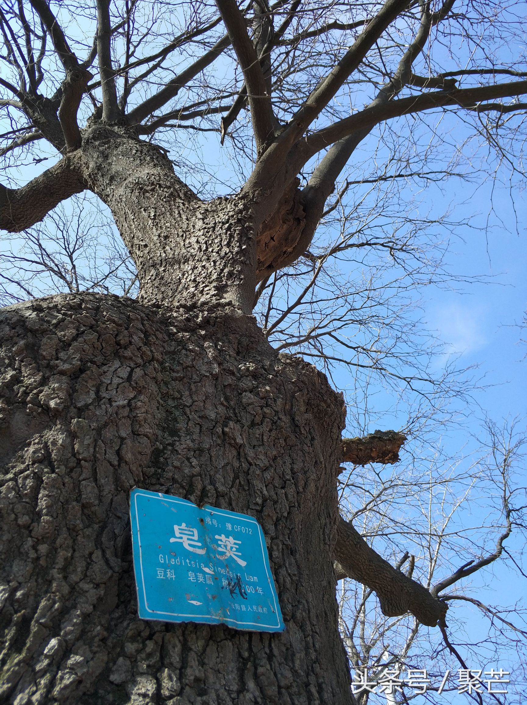 河南石头村自驾游攻略,自驾旅游小住环境好的村落