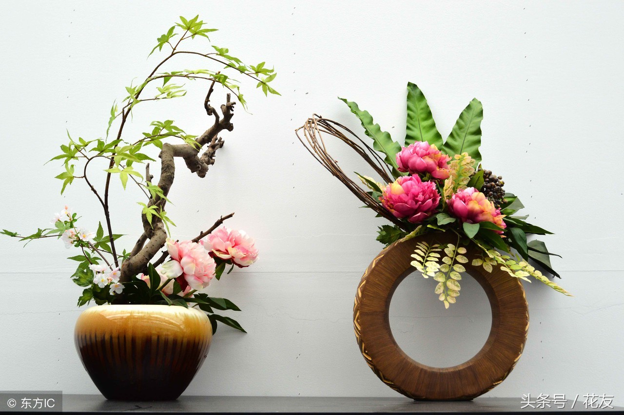 鲜花保鲜持久八法，情人节的玫瑰应该这样保存爱情才长久