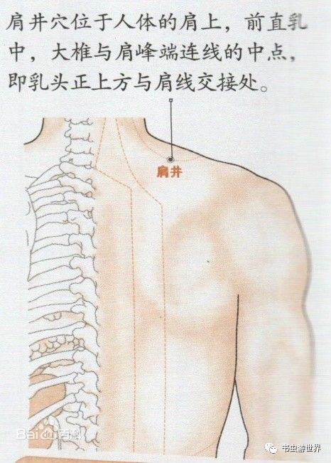 吾想为你觅一良匹｜尘封六十年的记忆：家书-2