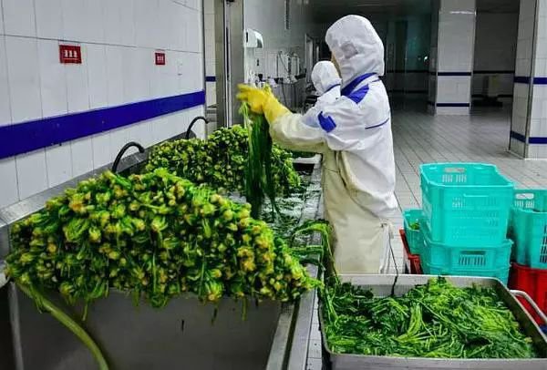 日本高铁盒饭贵吗,高铁盒饭咋那么贵国家不罚款吗