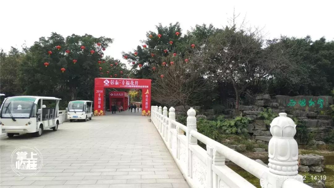 2020桂林訾洲公园郁金香盛开,桂林訾洲公园郁金香花期