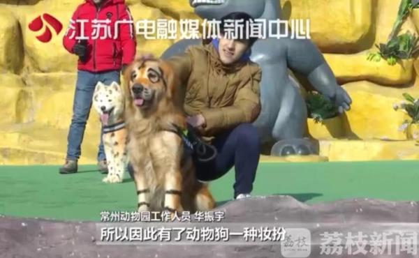 鑰佽檸鍌诲偦鍒嗕笉娓呮瑙嗛,灏忕嫍鑰佽檸鍌诲偦鍒嗕笉娓呮