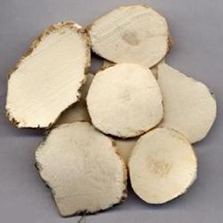 张学文治疗什么,张学文中医讲座视频