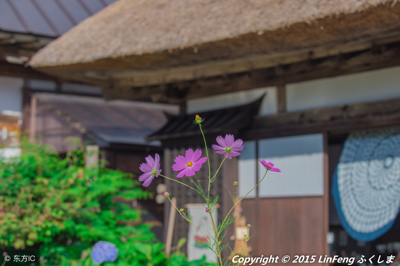 金记忆：到一个新地方走过的路记不住有木有？抓2点就可原路返回